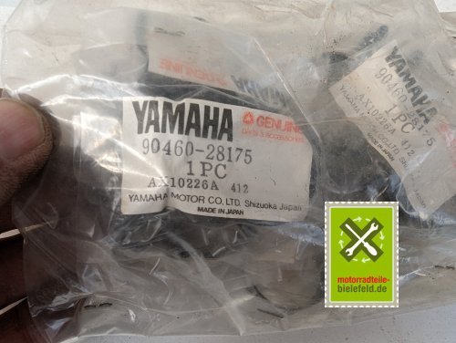 PXL_20240528_161847818